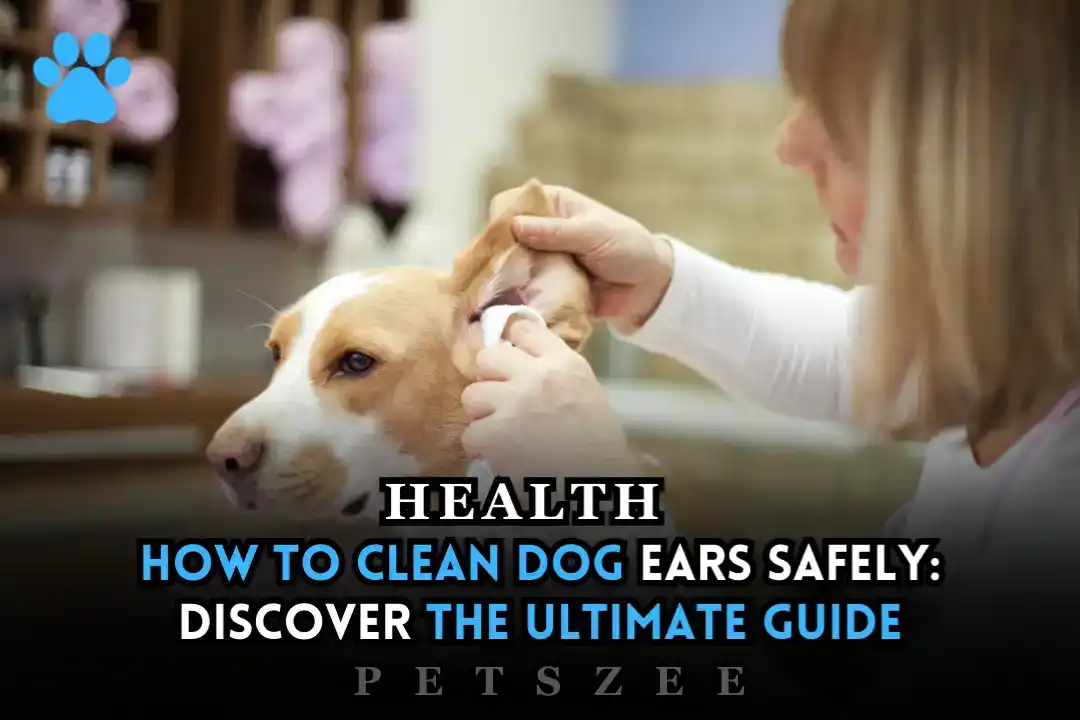 How to Clean Dog Ears