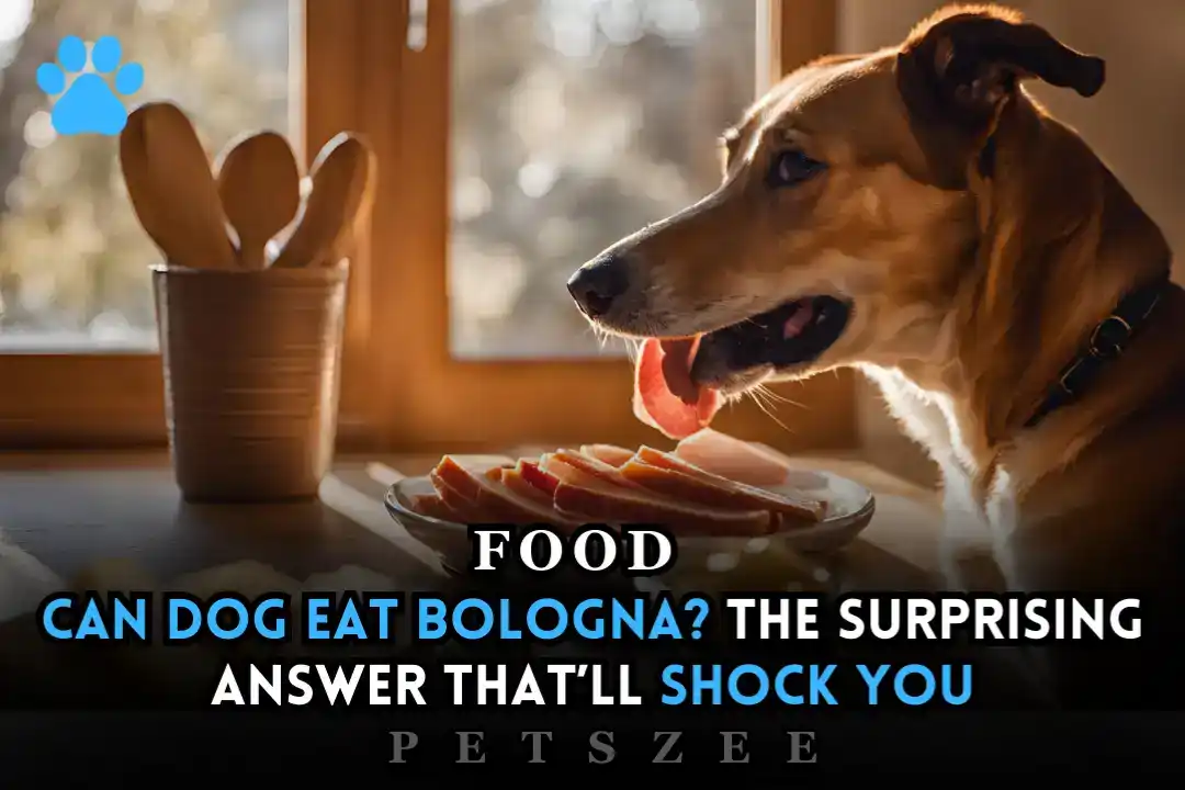 Can Dog Eat Bologna