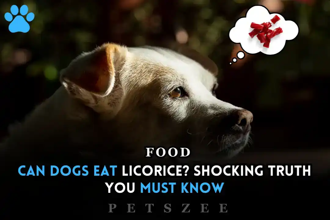 Can Dogs Eat Licorice