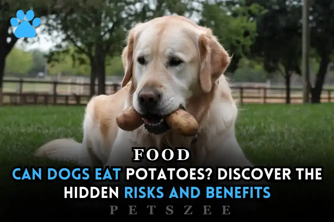 Can Dogs Eat Potatoes