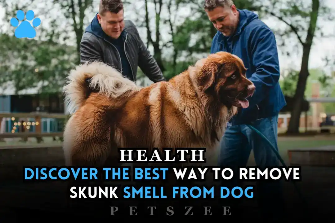 how to remove skunk smell from dog